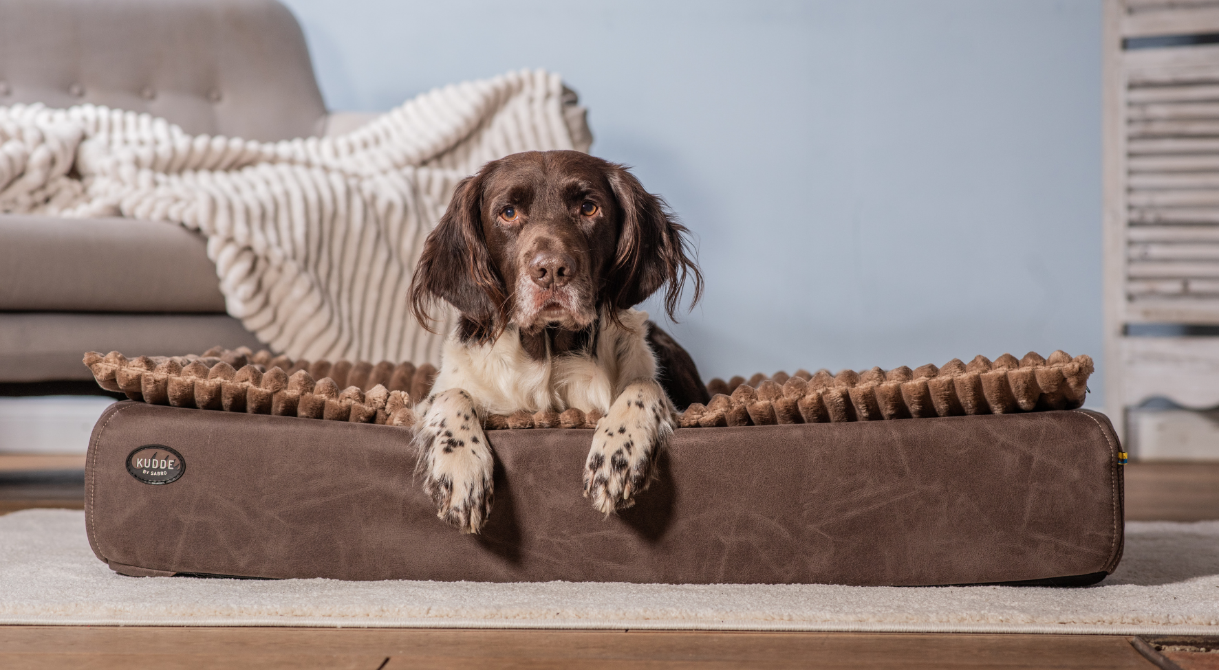 Hund im KUDDE Wildleder cacao_Blog Guide Hundebett-Einlagen