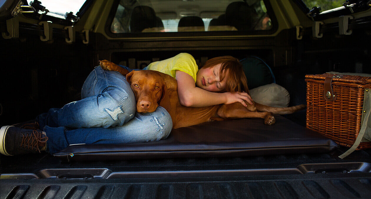 Hunde und Kinder: das musst du für ein harmonisches Zusammenleben wissen