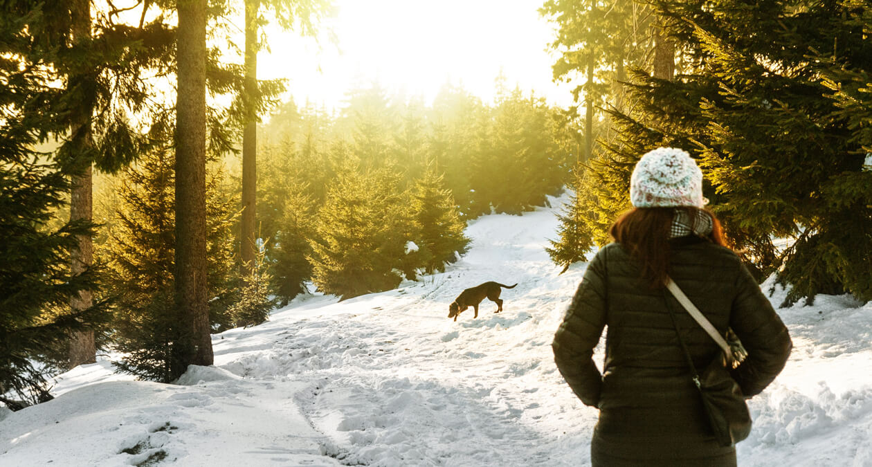 Sind Hundeschuhe im Winter sinnvoll? Alles, was du darüber wissen musst