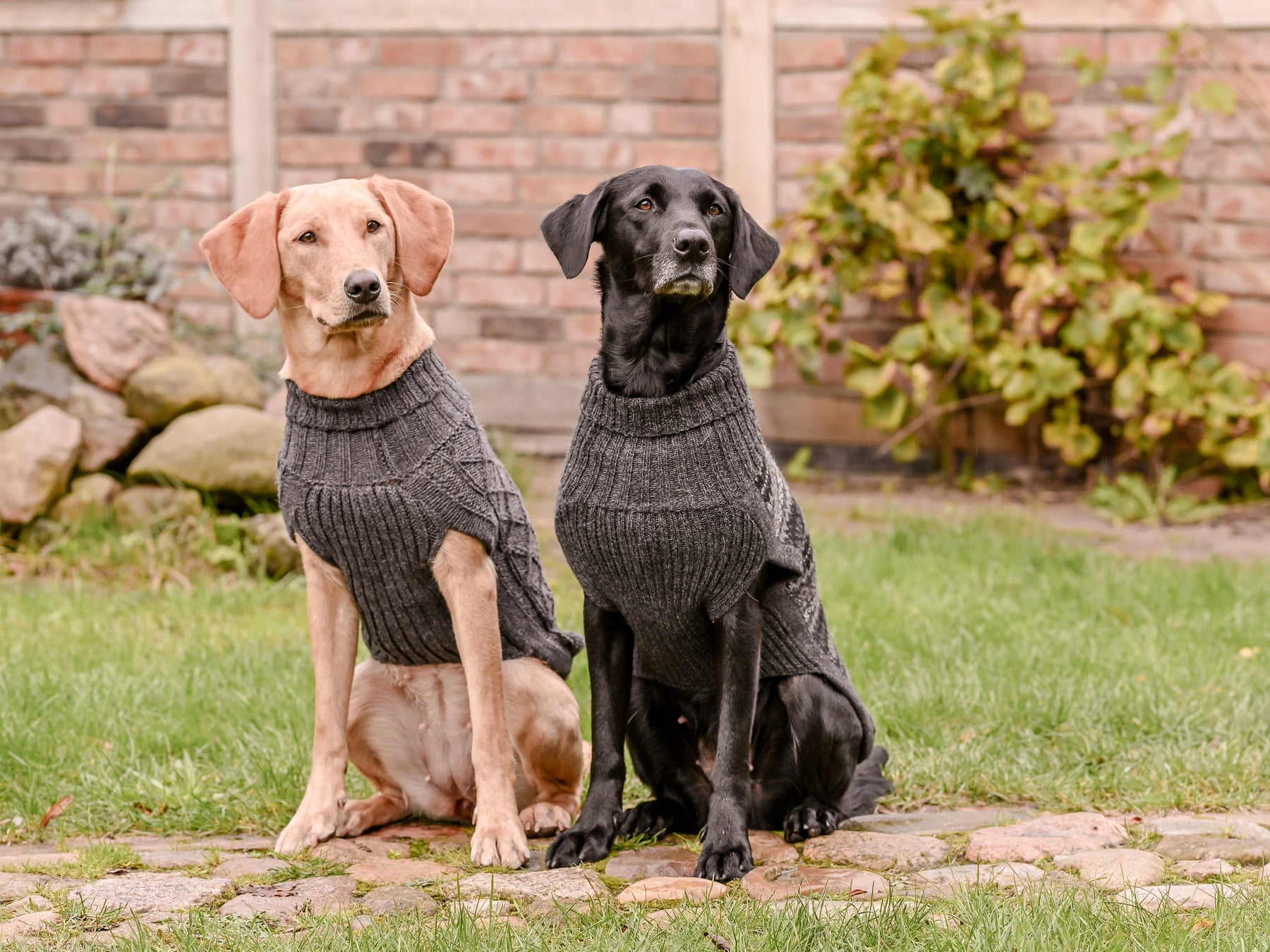 Hundepullover HIMALAYA Wolle