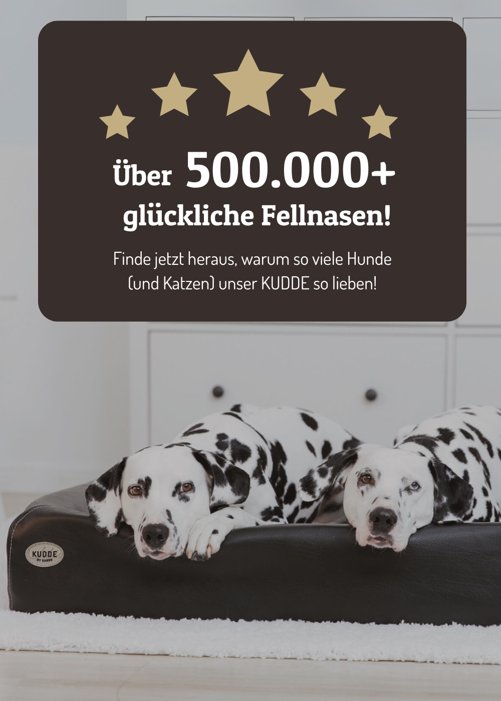 Heroimage zu Kundenbewertungen Mobil