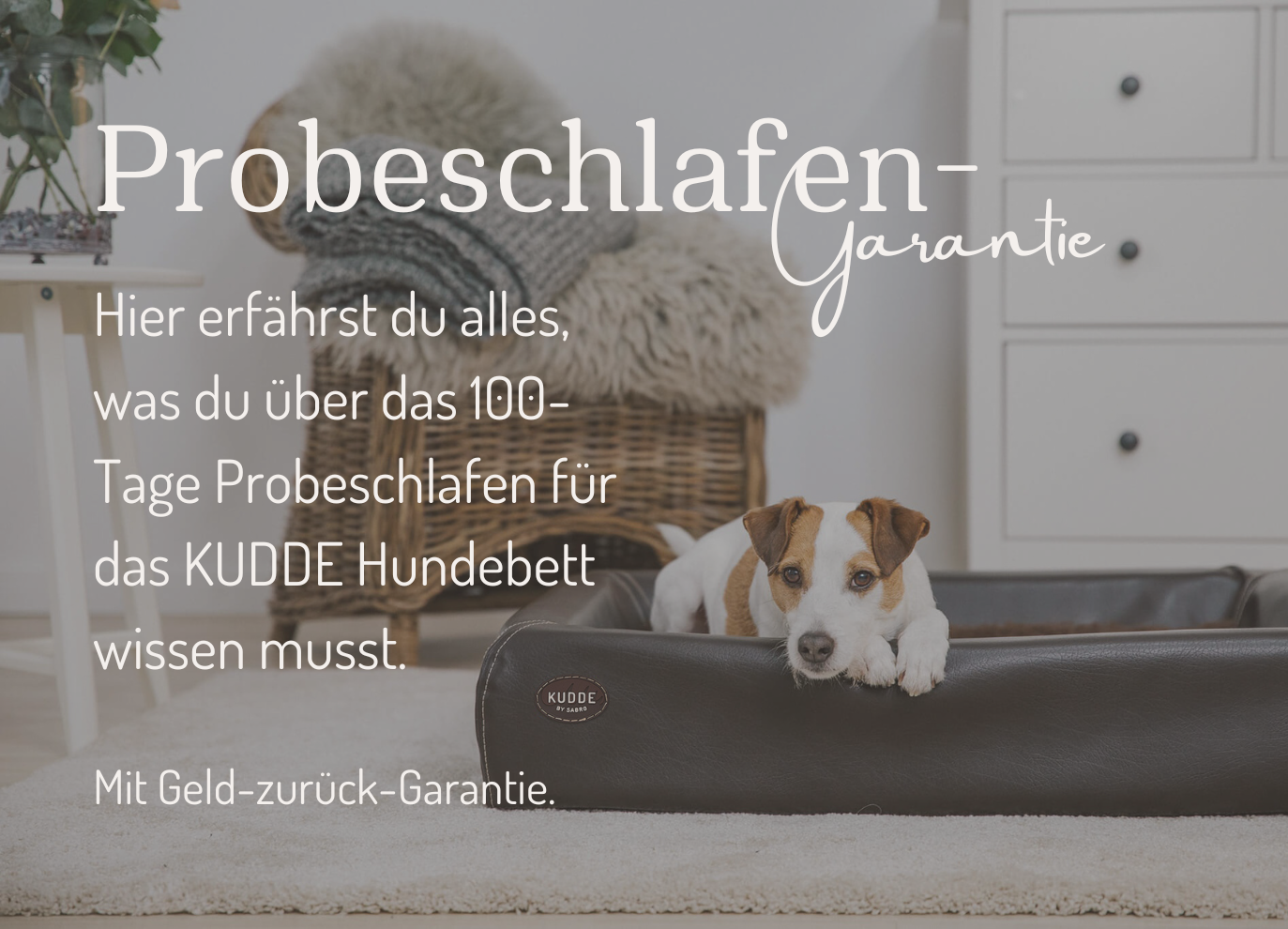 Heorimage Probeschlafen Mobil