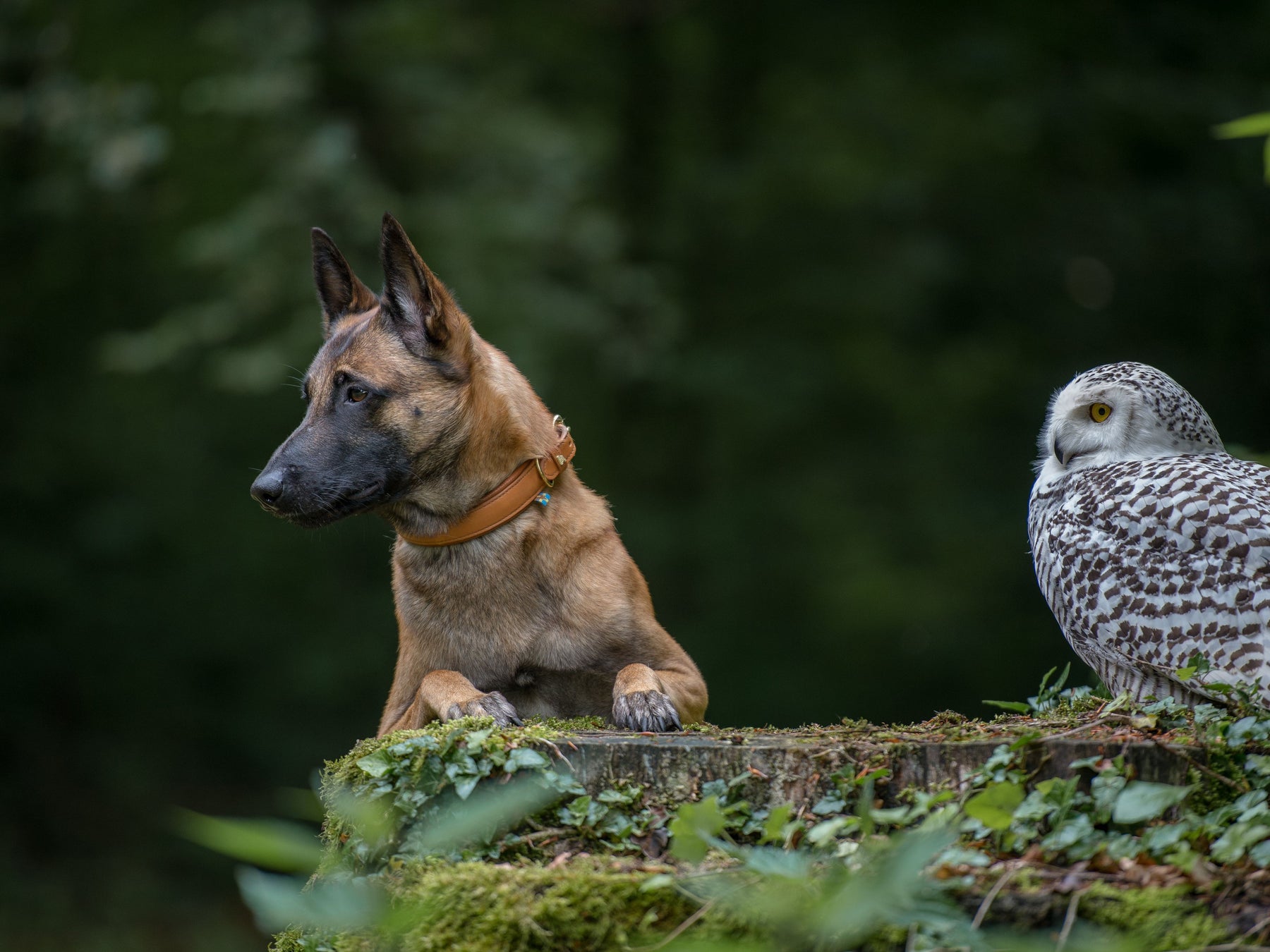 natur