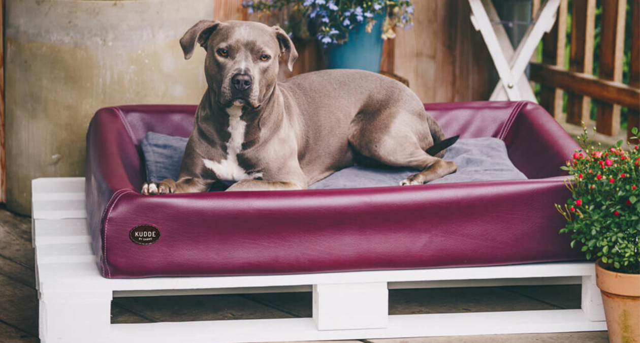 Outdoor dog bed shops ideas