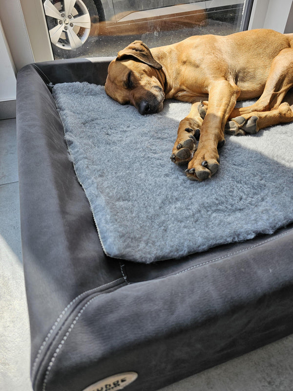 Customer rating image