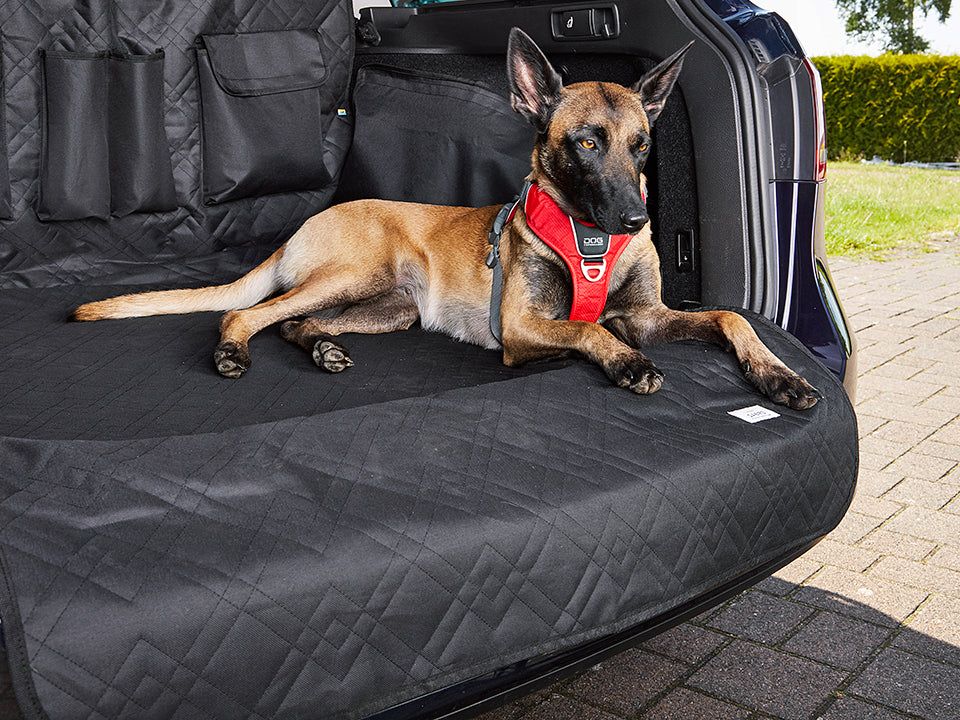 RESA protective cover for the trunk