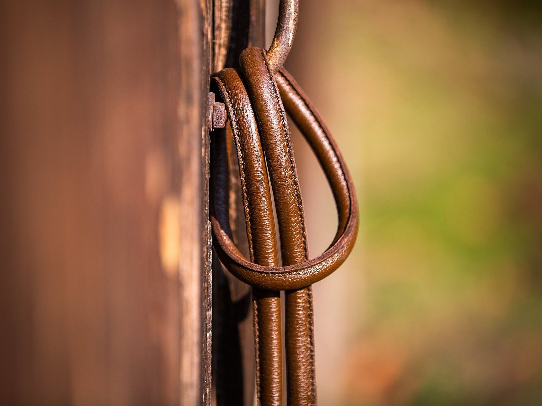 CLASSIC dog lead hand loop