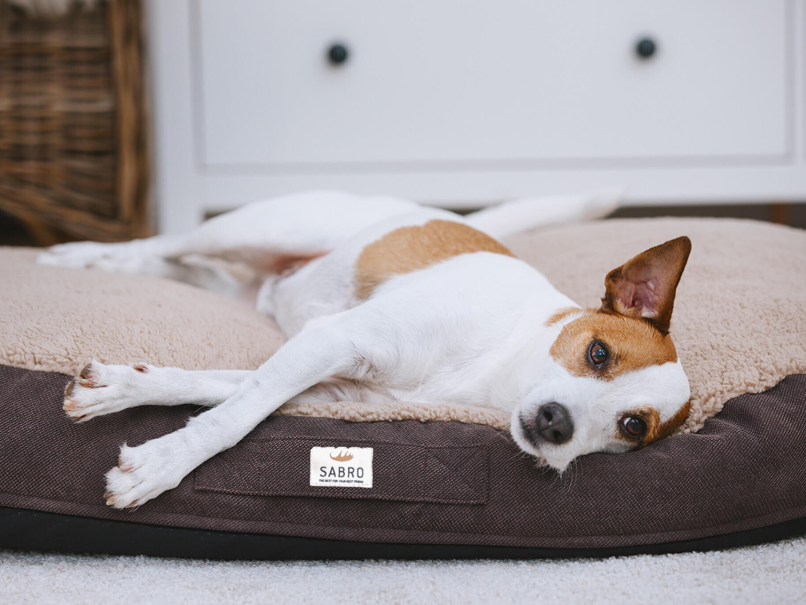 FLUFFA dog bed
