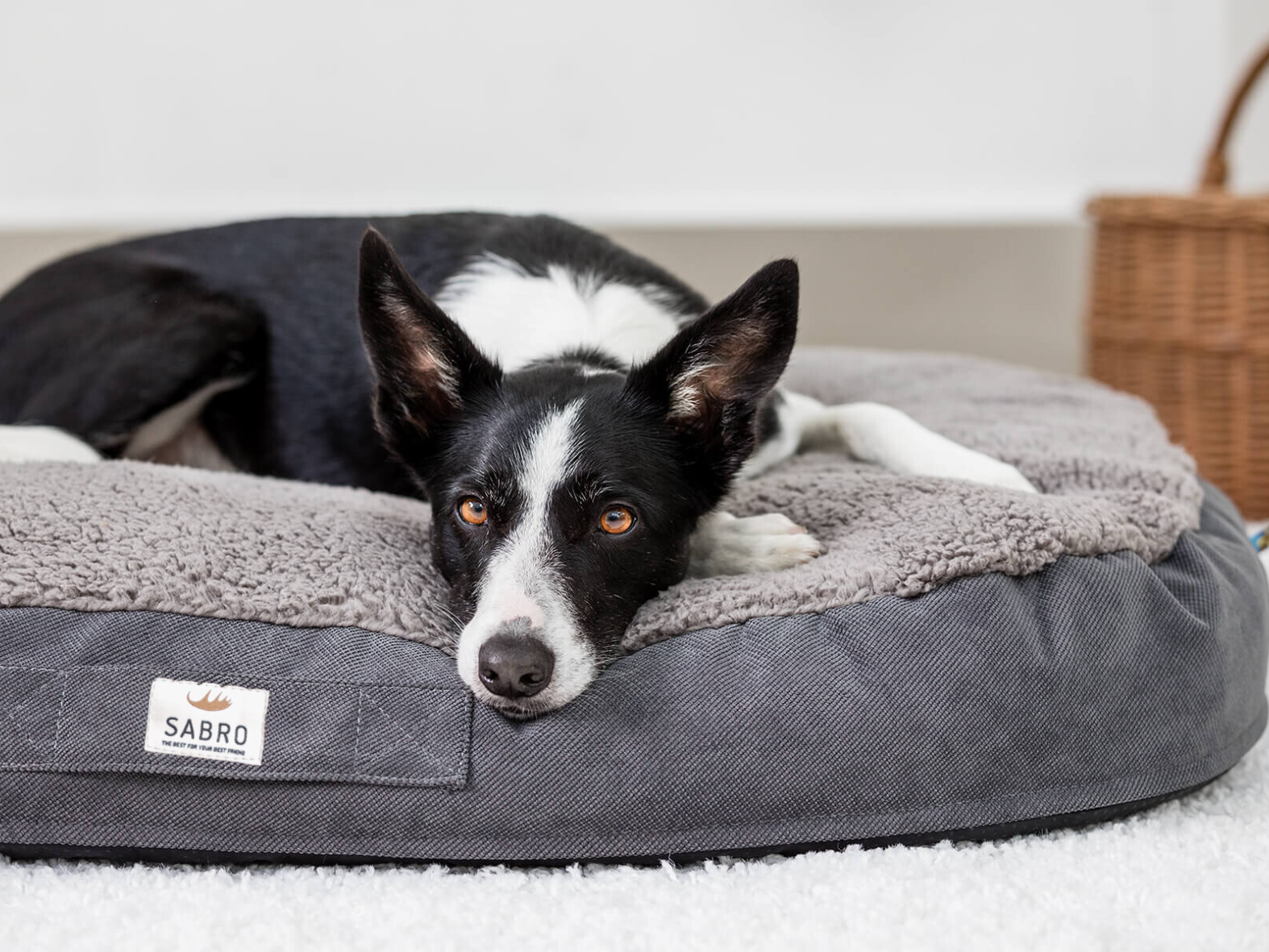 FLUFFA dog bed