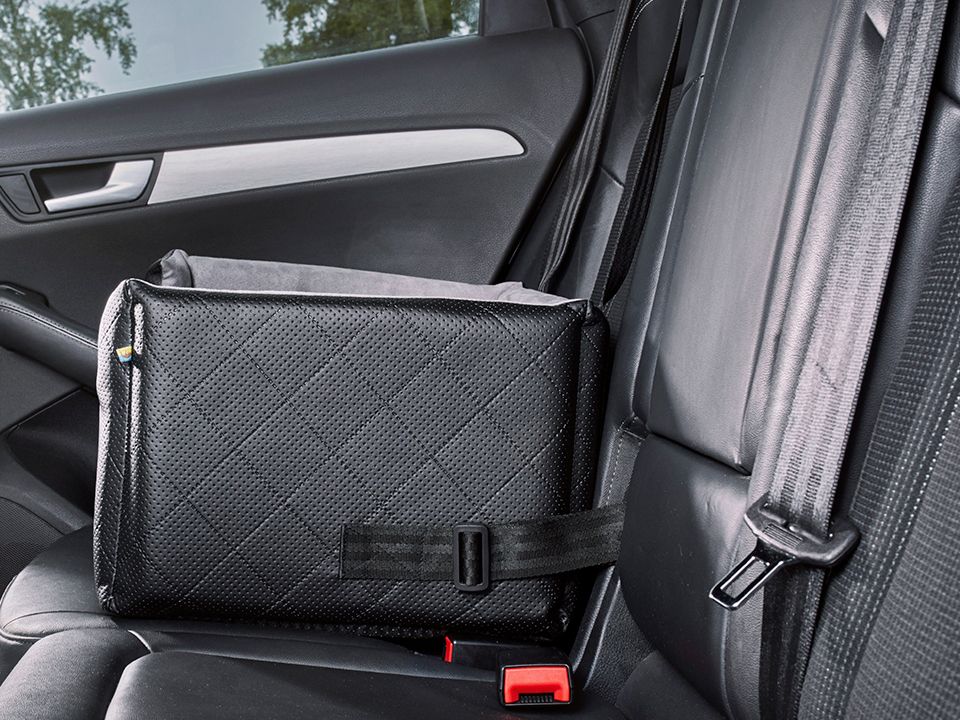 Car seat for dogs RIDA