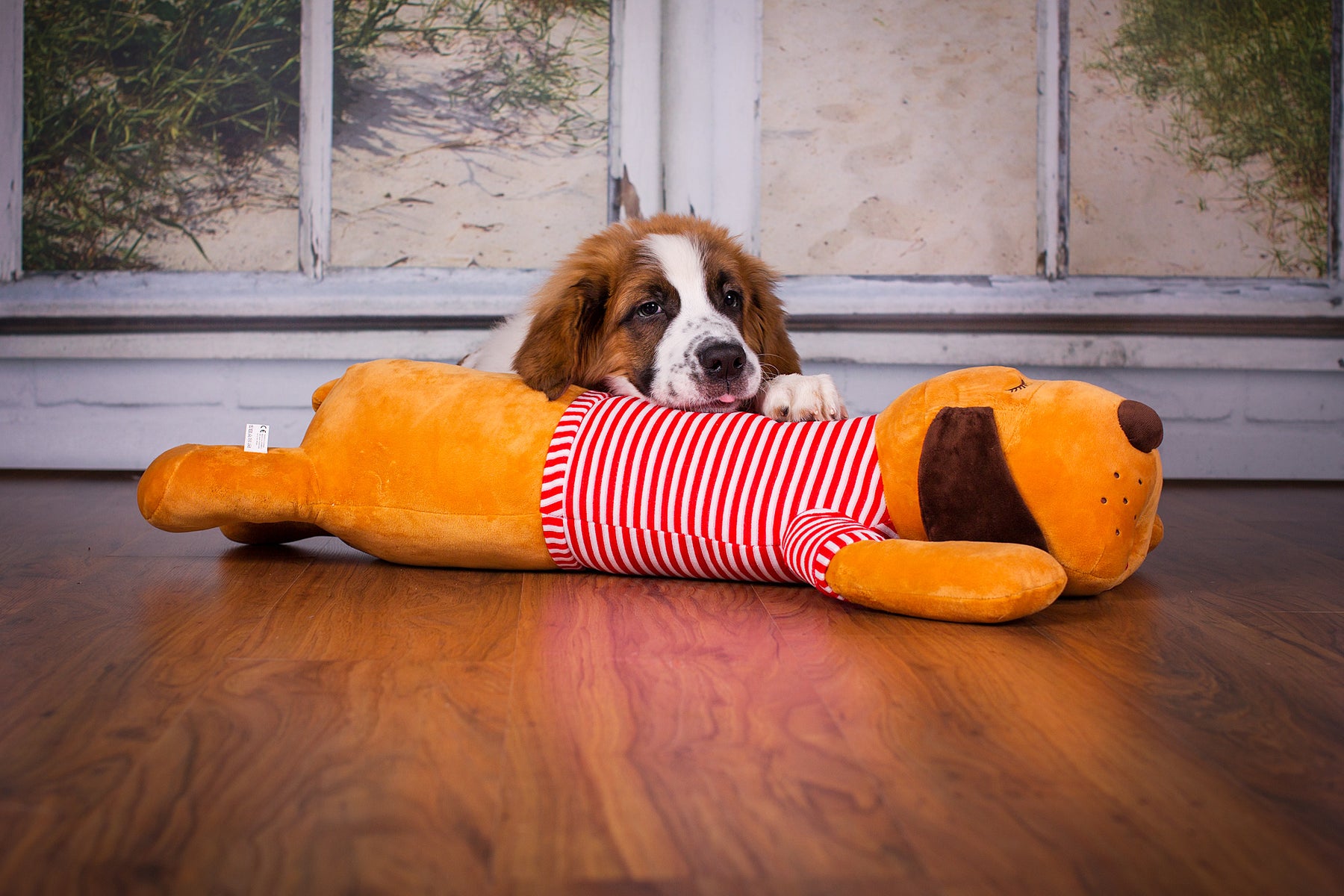 Cuddly dog TOMTE