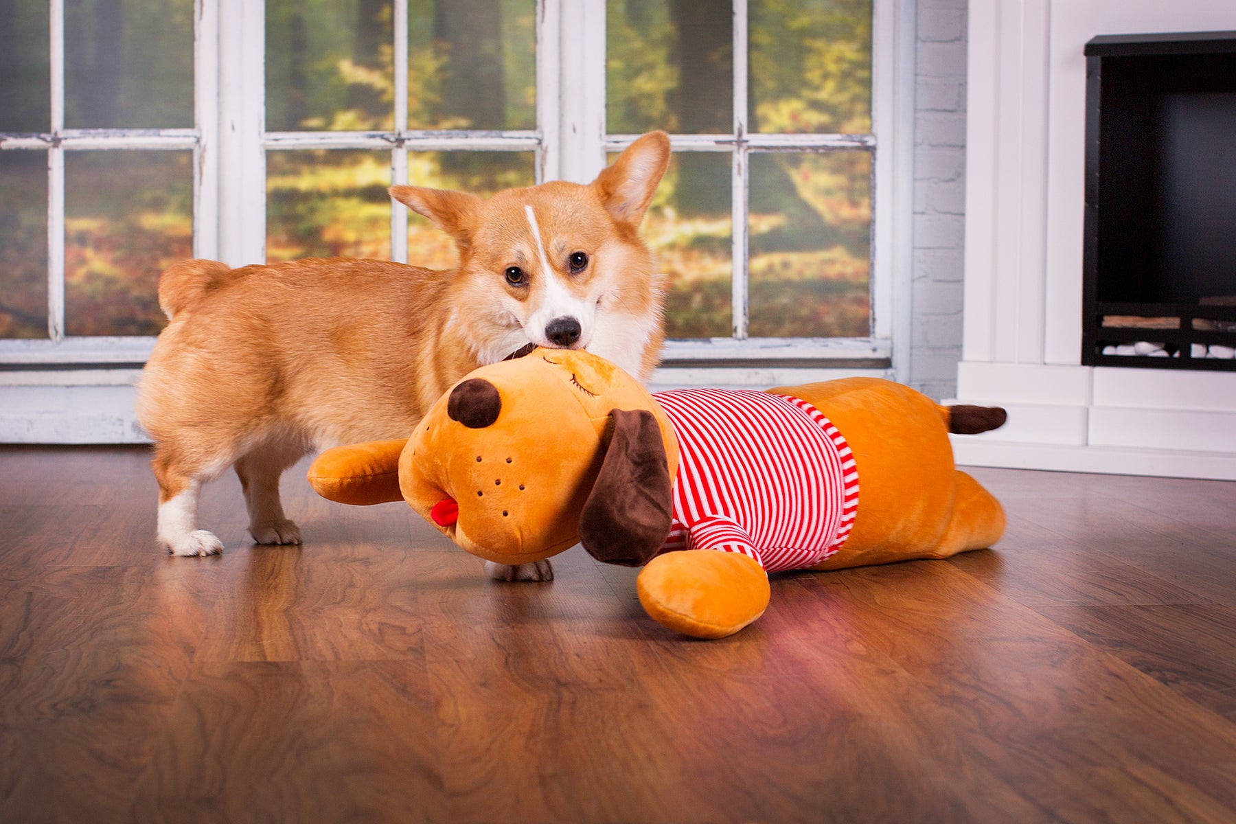Cuddly dog TOMTE