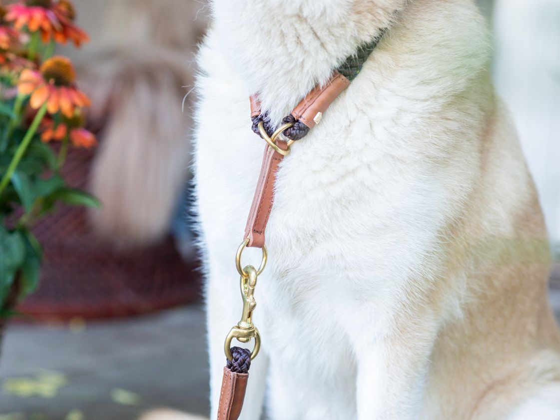 OUTDOOR round pull dog collar