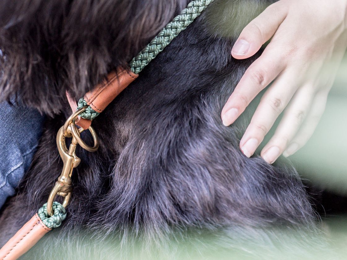 OUTDOOR round pull dog collar