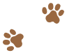 Paw prints