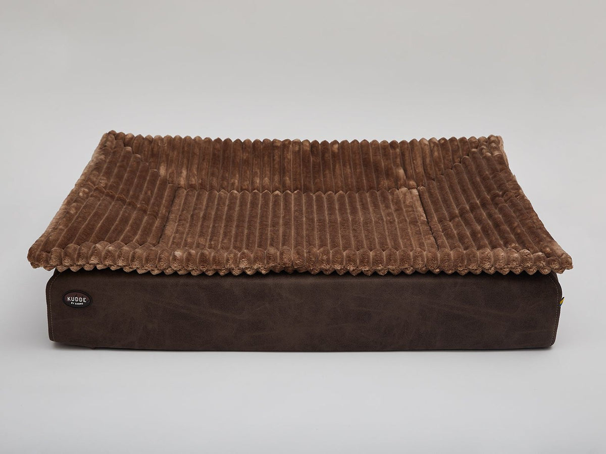 cacao