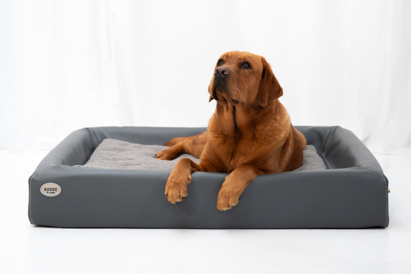 Labrador in KUDDE stone