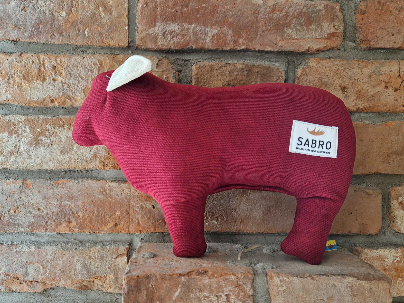 TILDA sheep
