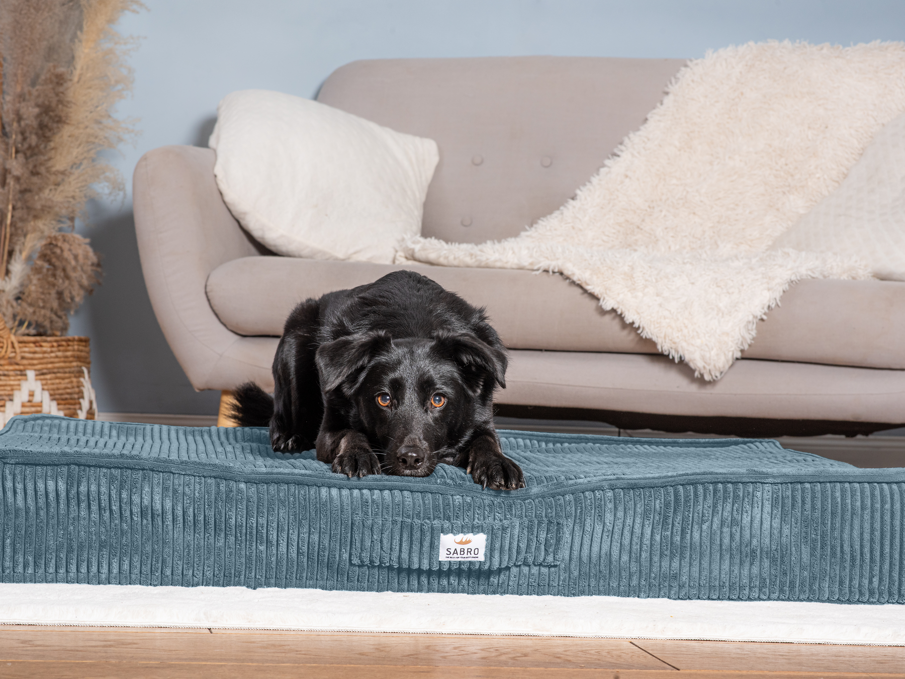 Floor cushion SOVA Cord