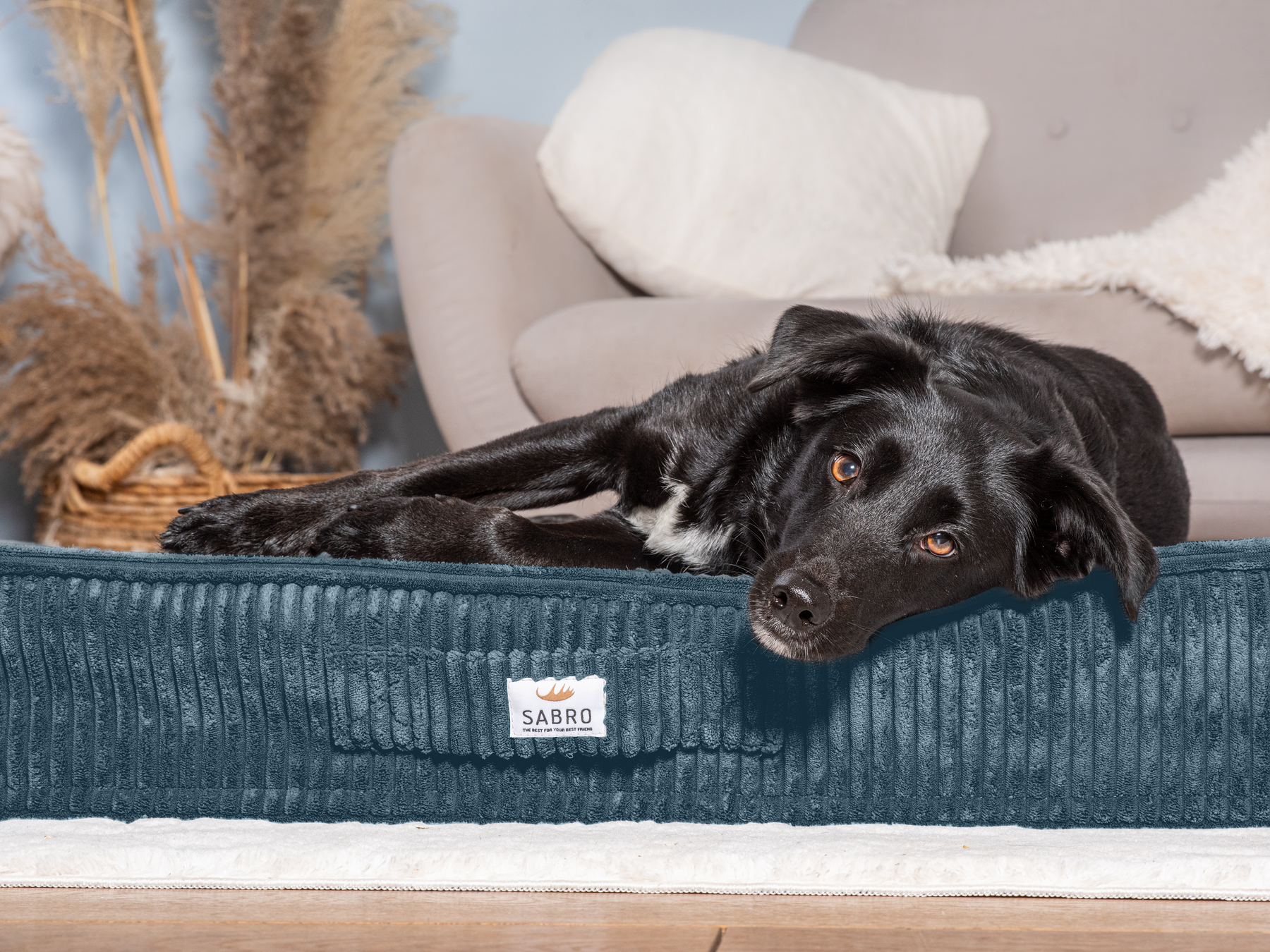 Floor cushion SOVA Cord
