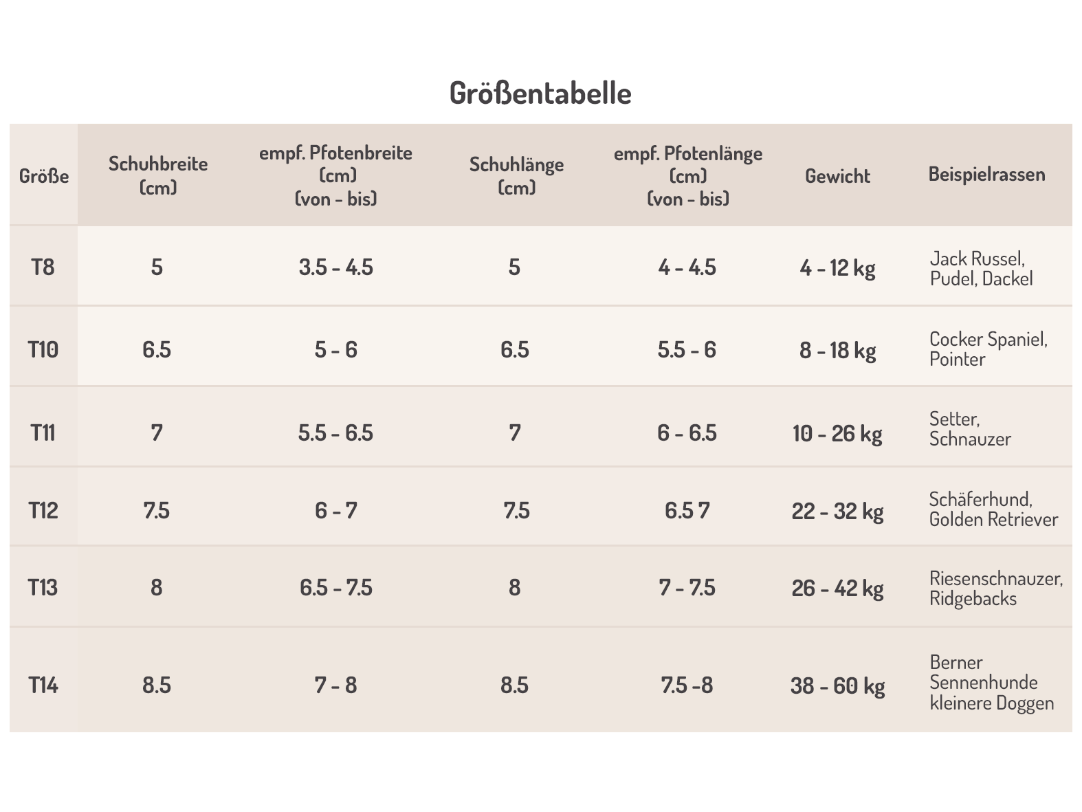 Toffler size chart