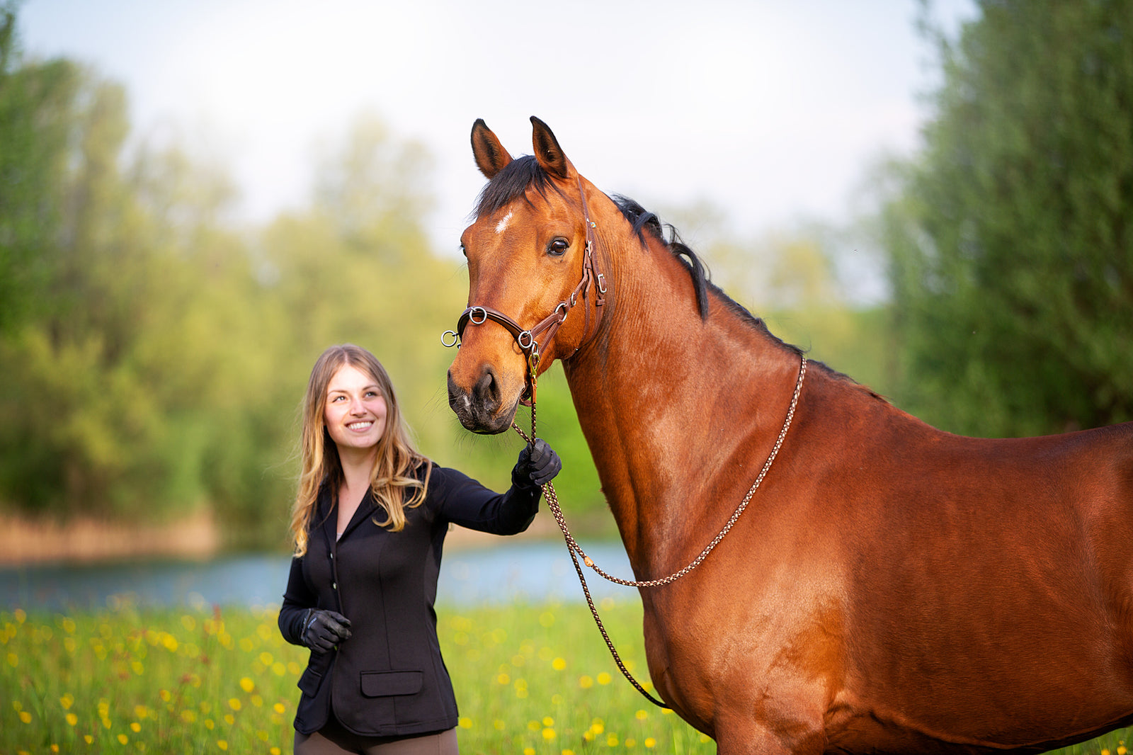 Horse with Sabro Cavecon