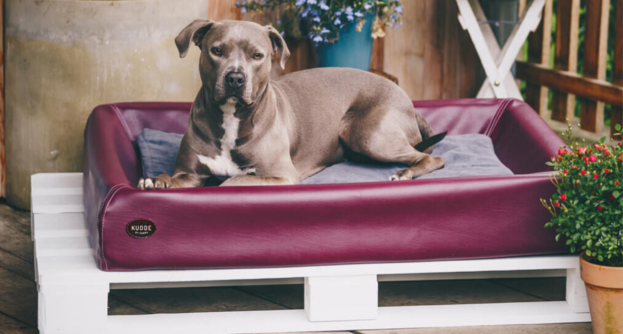 Hundebett für draußen DIY: so machst du dein KUDDE zum Outdoor Hundebett