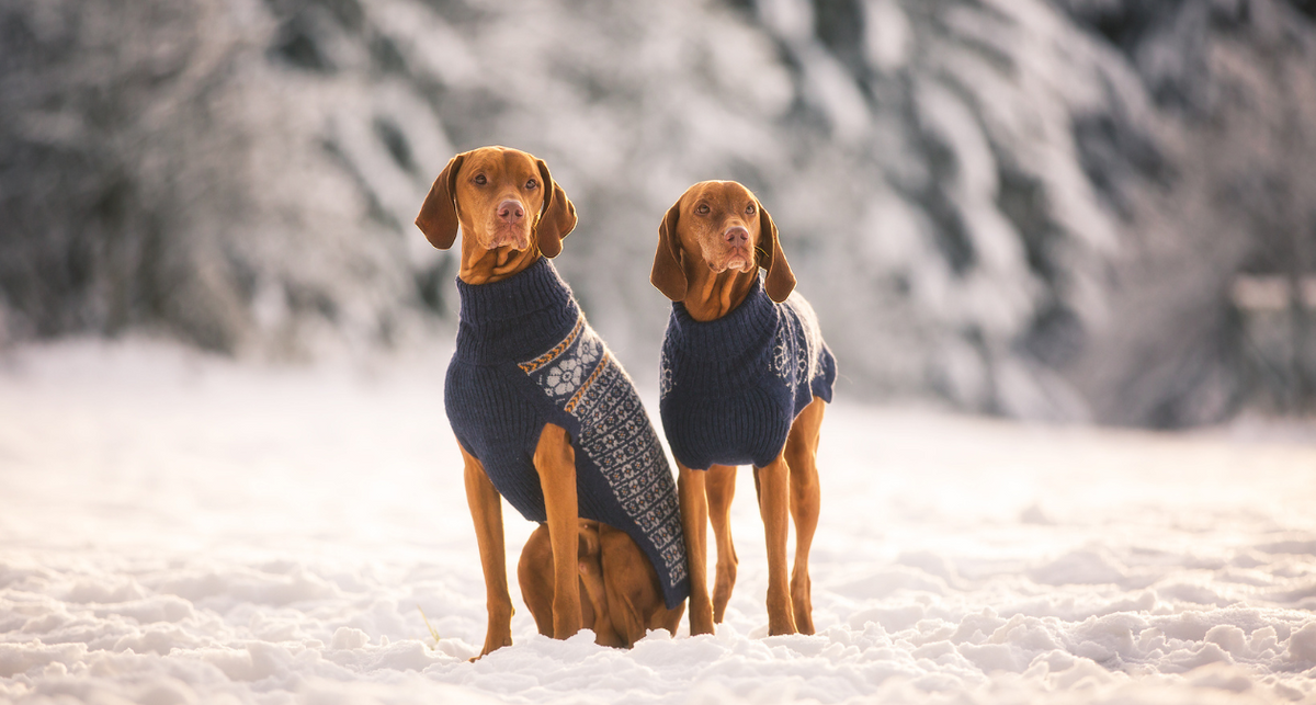 Esobo Warme Hundekleidung Für Winter – Grau, Größe XXS, Aus Weichem Polyester, Maschinenwaschbar