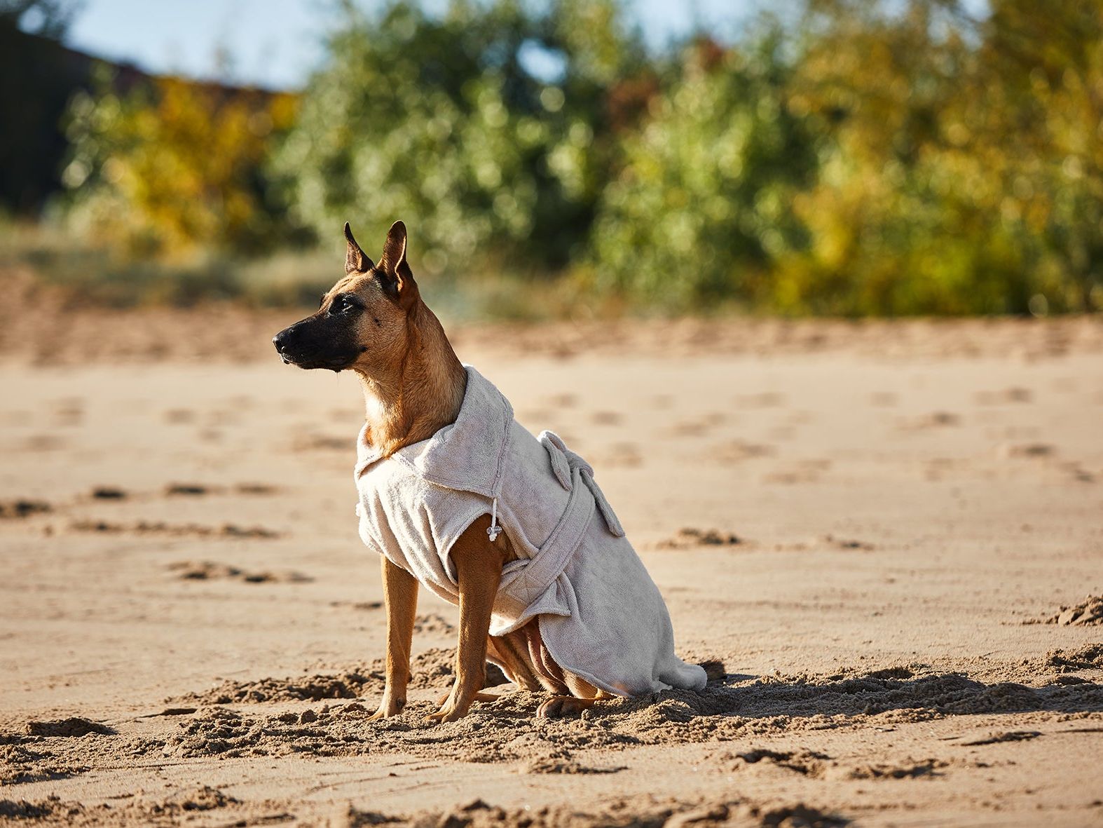 Hundebademantel Smuts