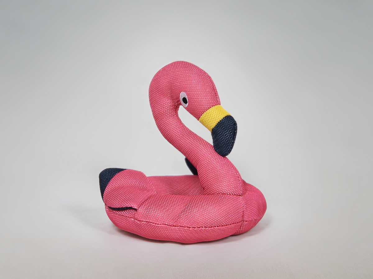 Flamingo FLORA