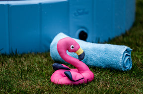 Flamingo FLORA