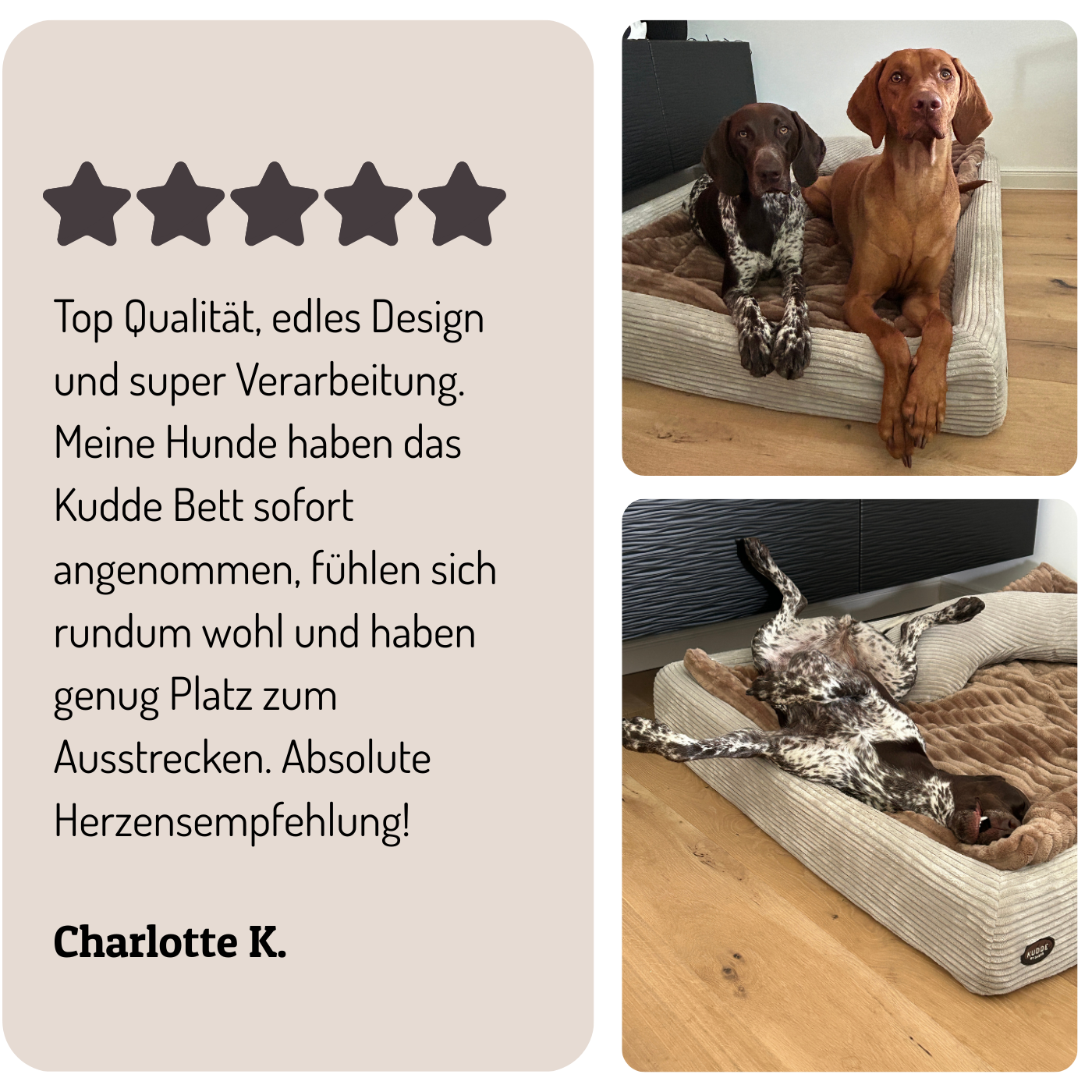 Kundenbewertung