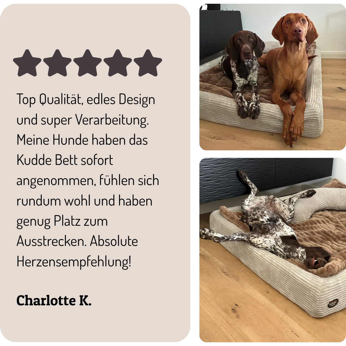 Kundenbewertung
