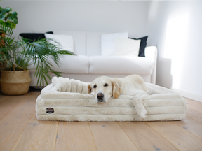 cream