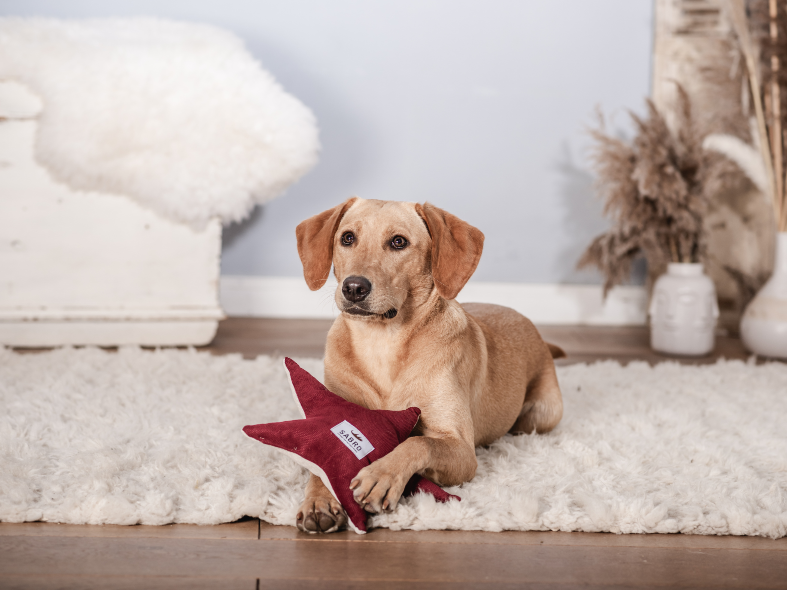 Kuschelkissen LYSA Weihnachtsstern