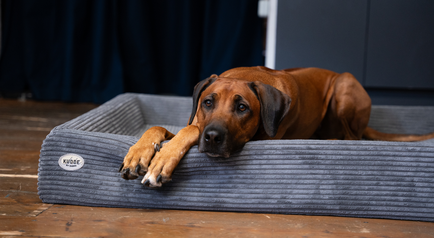 Blog Sleep Phases Hero