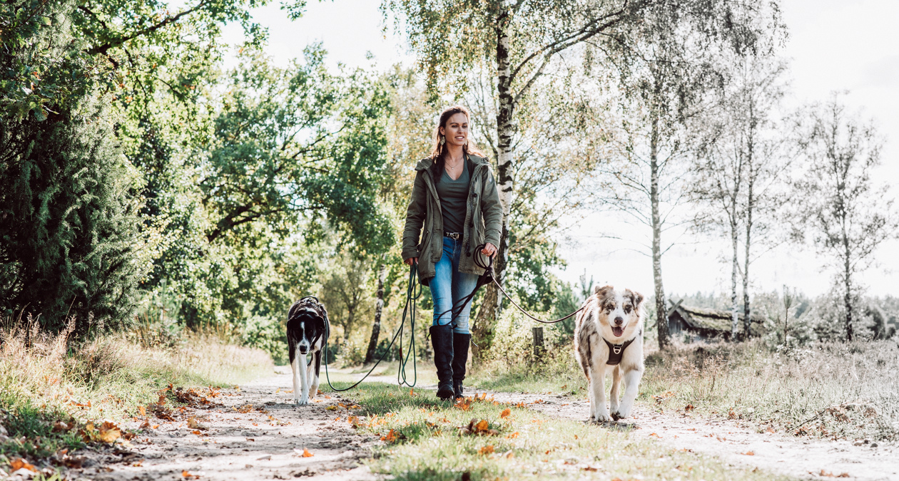 Is your dog pulling on the lead? Tips & tricks for walking on a lead