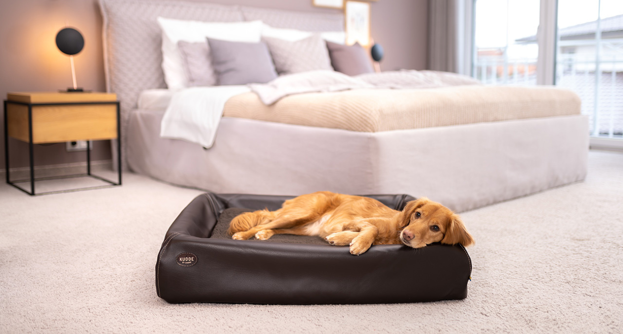 All about the "new" KUDDE dog beds