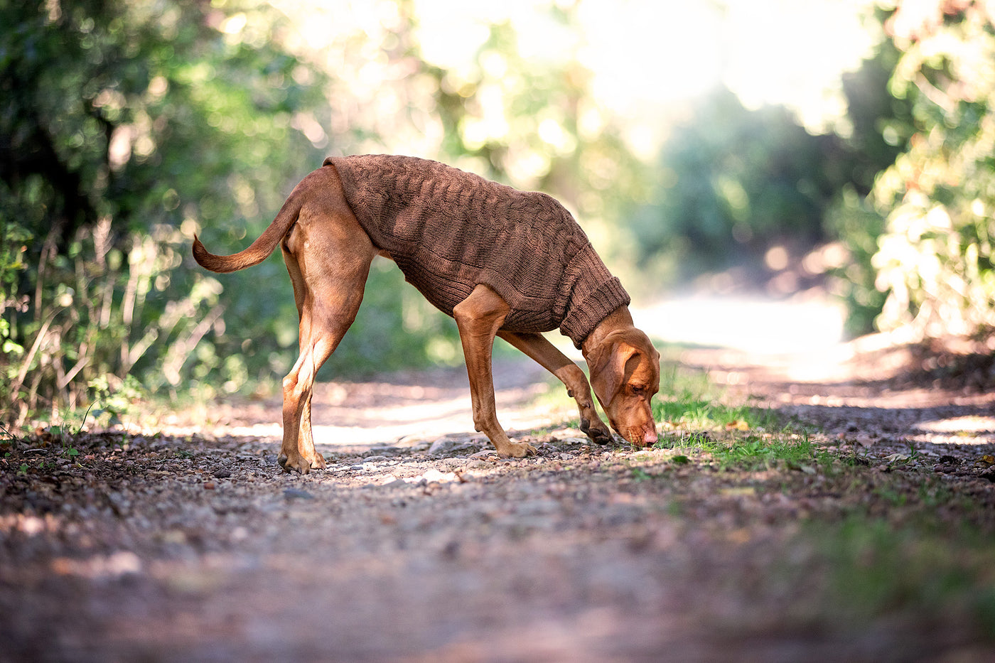 Walkies & Co.