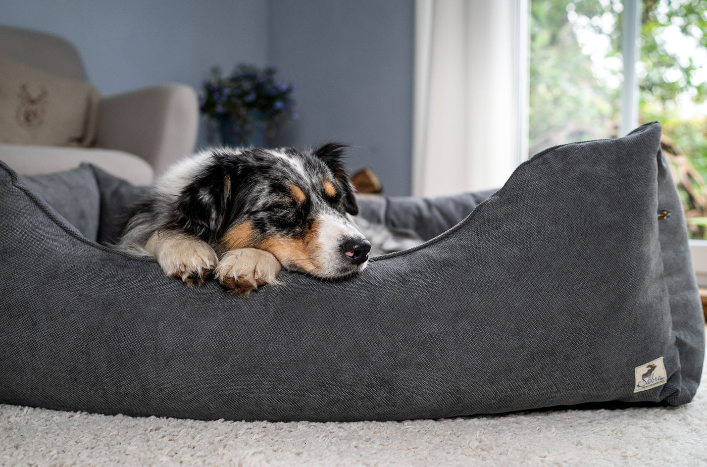 Dog beds