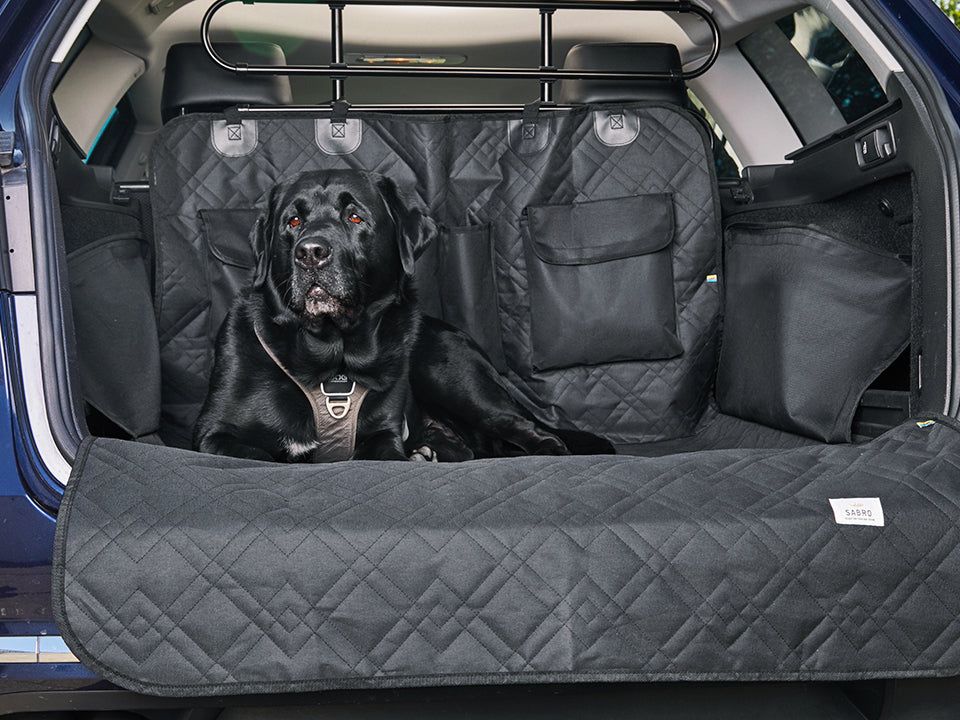 Resa trunk cover