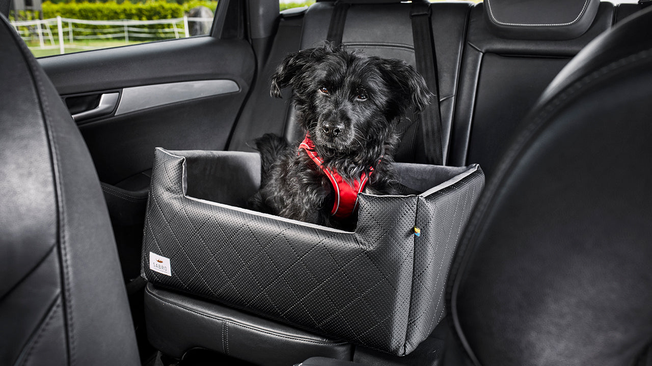 Dog car seat Rida