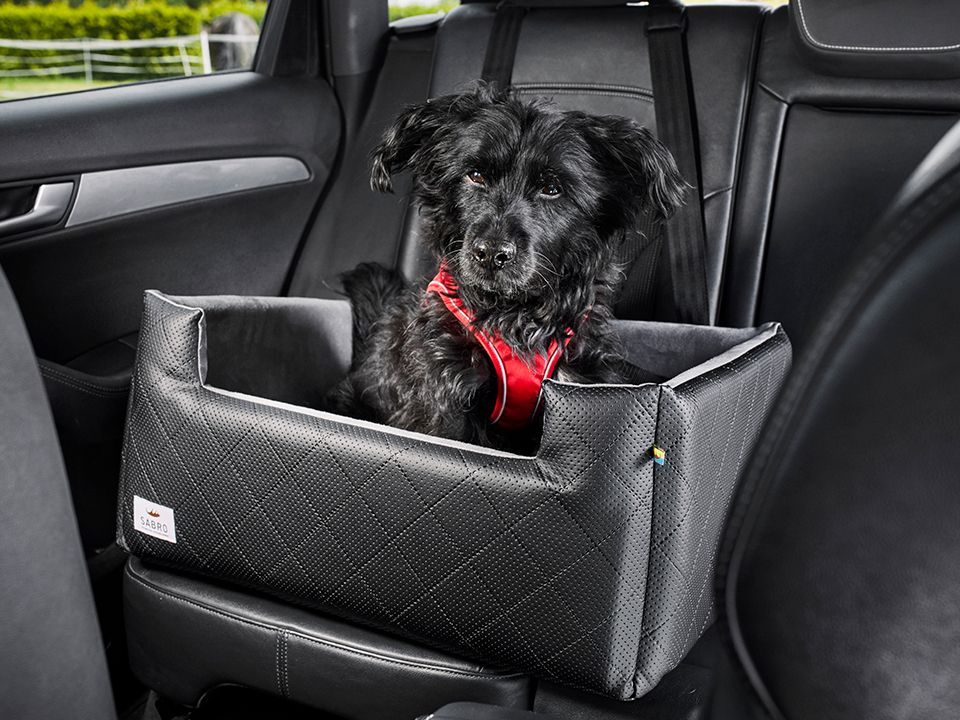 Car seat for dogs RIDA