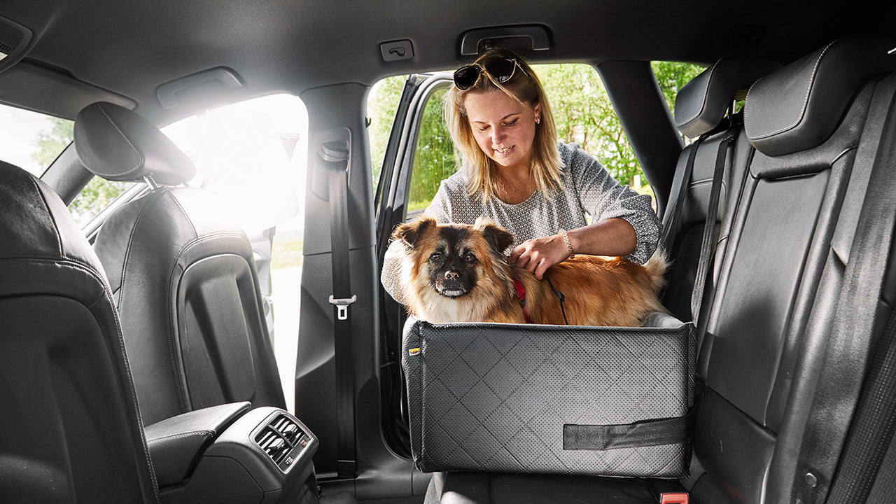 RIDA car seat for dogs