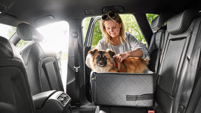 Dog car seat Rida