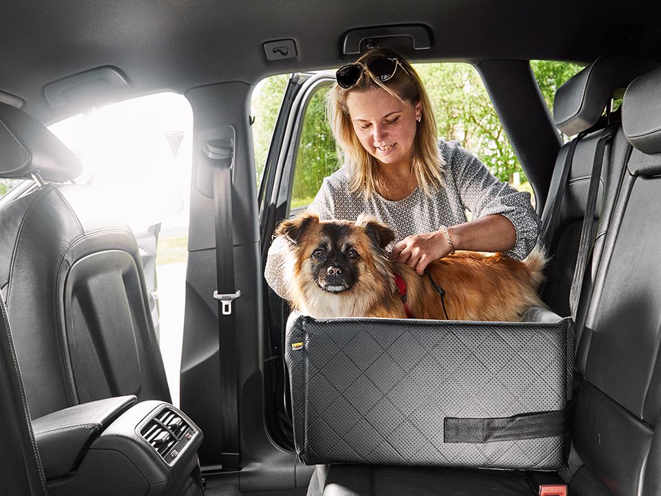 Car seat for dogs RIDA