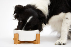 Feeding bowl BAMBU