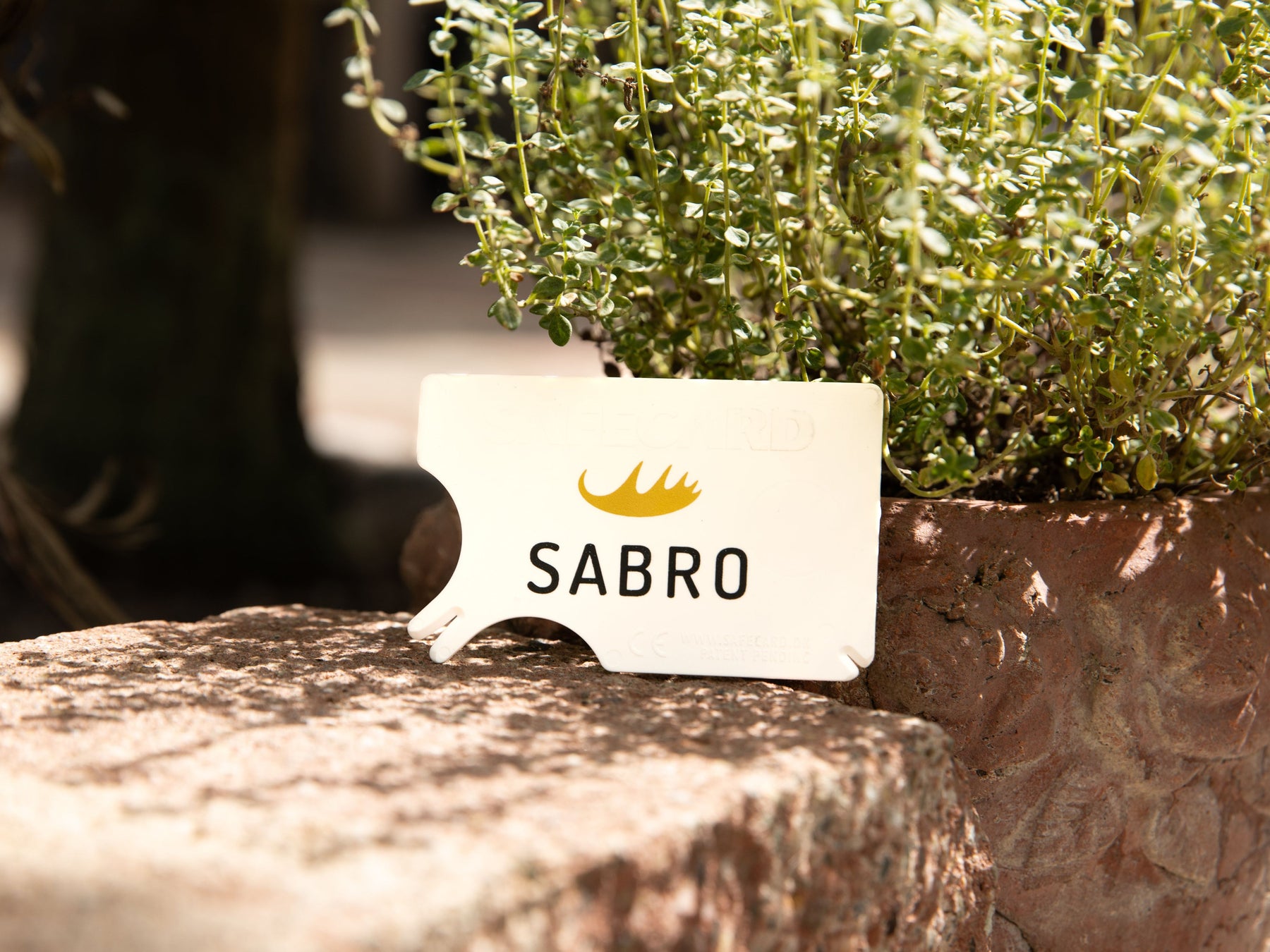 SABRO tick card