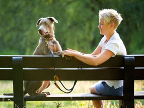 Adjustable outdoor leash