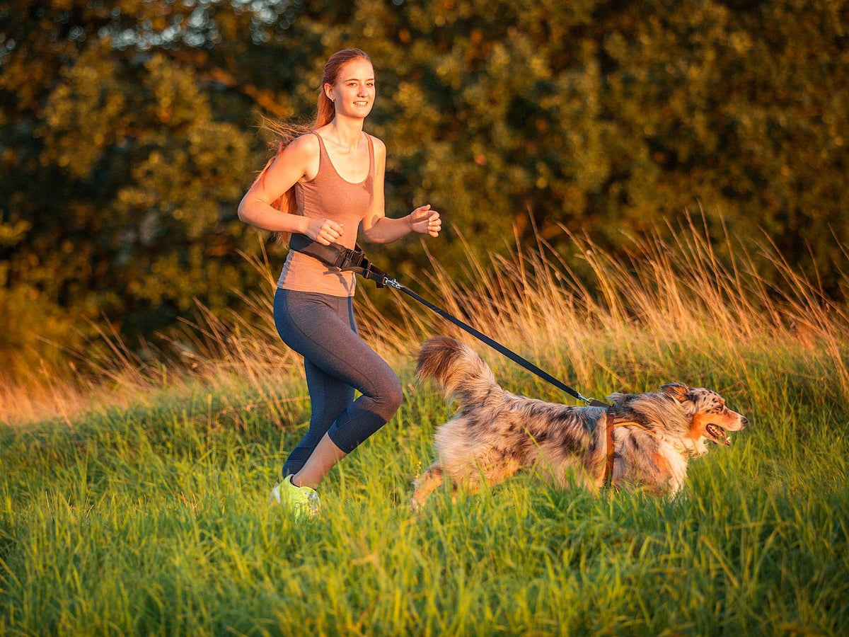 Baggen sports belt